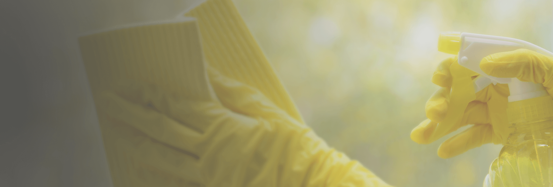 Banner-1